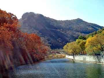 新澳天天开奖资料大全旅游团，德鲁伊传奇